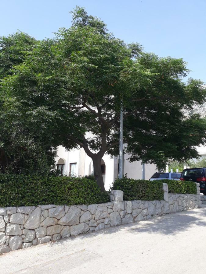 Apartments Erceg Omiš Dış mekan fotoğraf